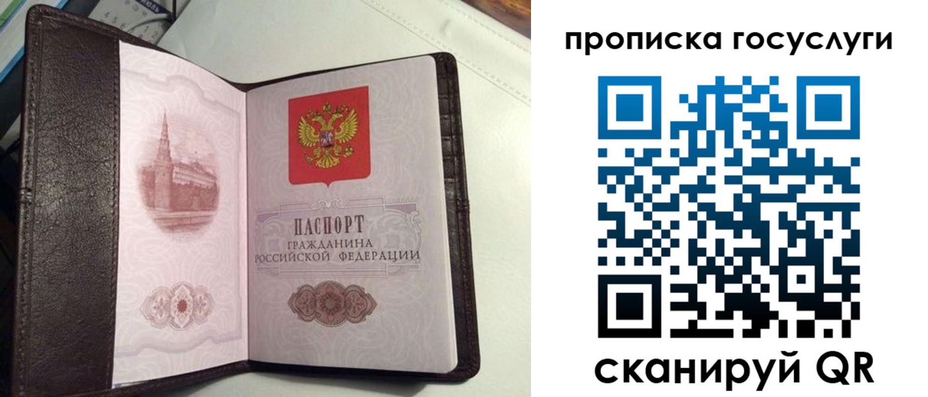 временная прописка в Киришах